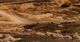 别看他瘦！很硬啊